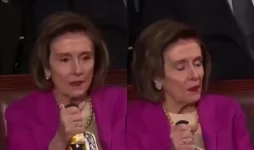 pelosi.webp